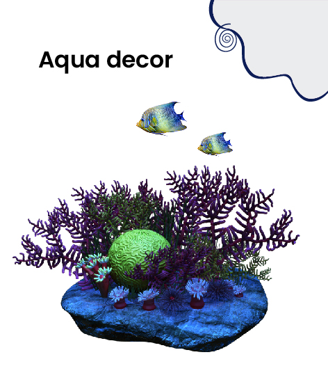 Aqua Decor